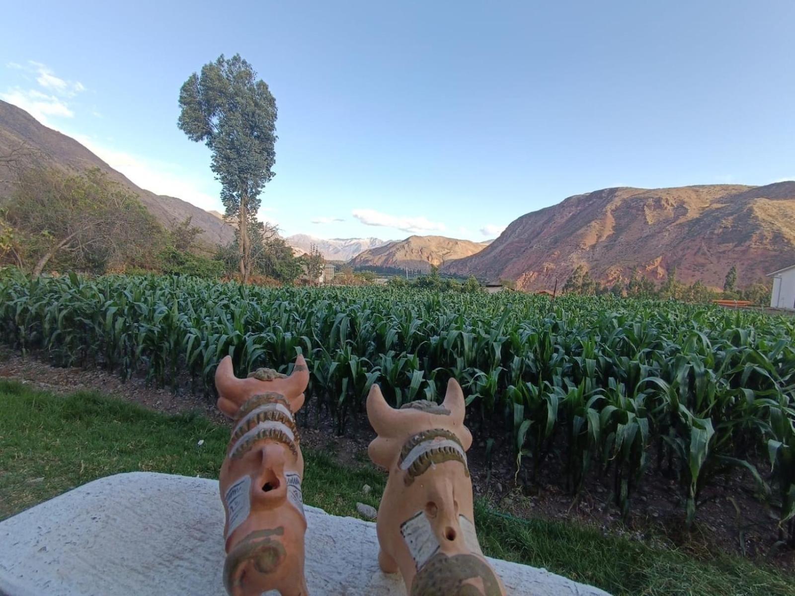 Casa Yanahuara Valle Sagrado - Urubamba Exteriör bild